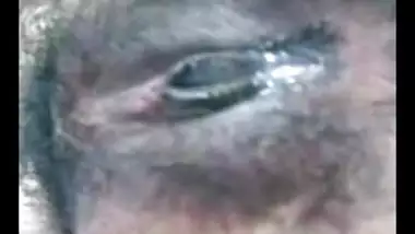 बांग्लादेशी ब्लू फिल्म इंग्लिश ब्लू फिल्म भाभी स्वफ़ोटो के लिए शौक